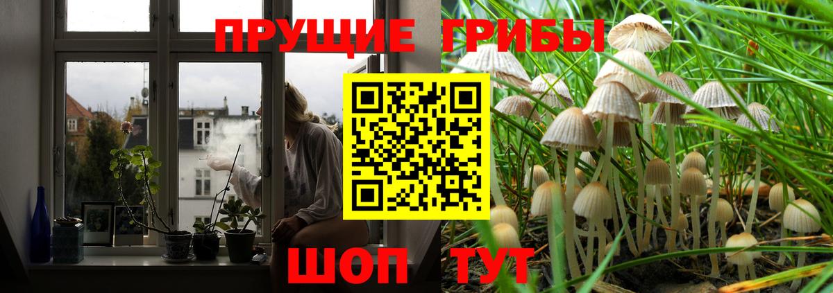 Псилоцибиновые грибы GOLDEN TEACHER  Псилоцибиновые грибы прущие грибы  Вход с VPN  Старая Купавна 